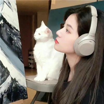 冰上迪斯科