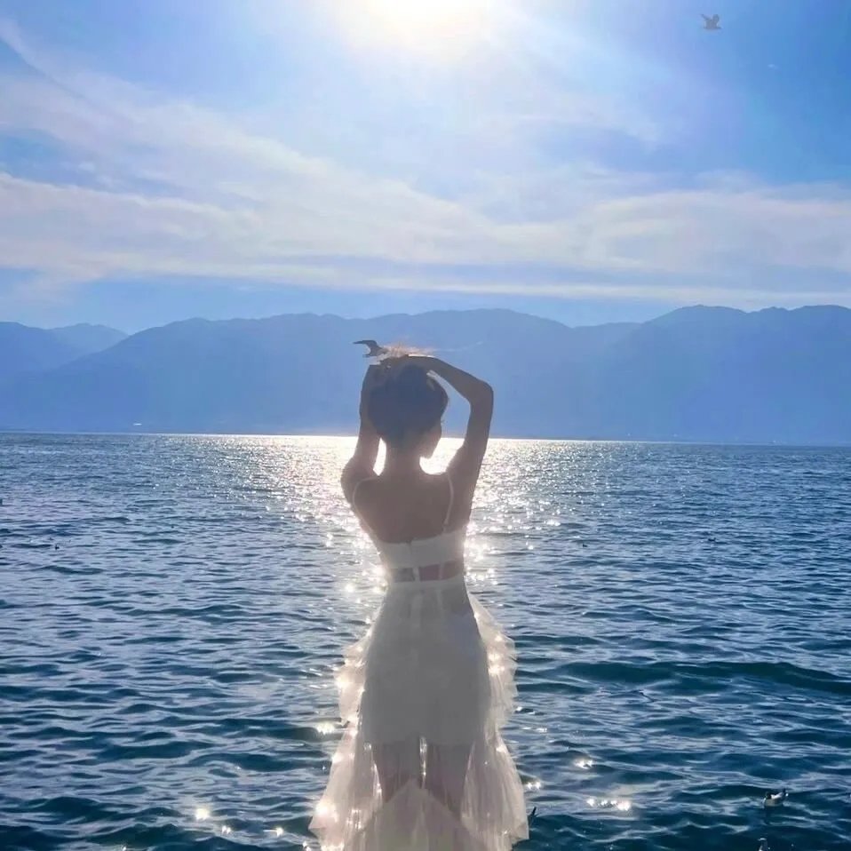暗战双凤楼